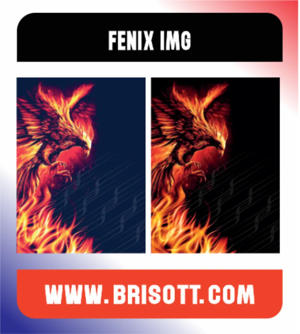 FENIX IMG